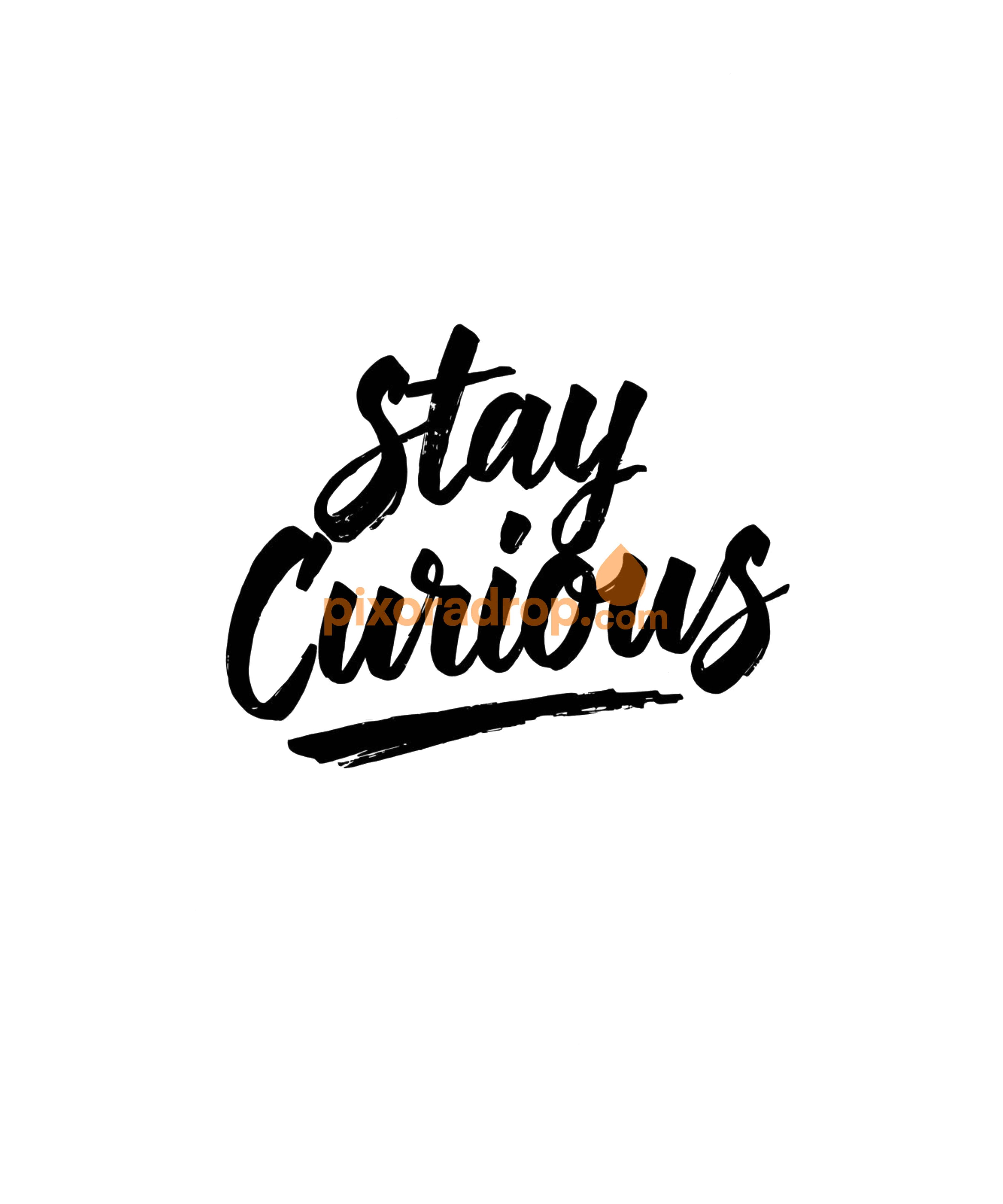 Stay Curious